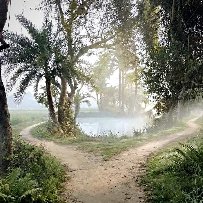 যে পথ ধরে শৈশব হেঁটে গেছে, সে পথের মায়া বয়স বাড়লেও ফুরোয় না।