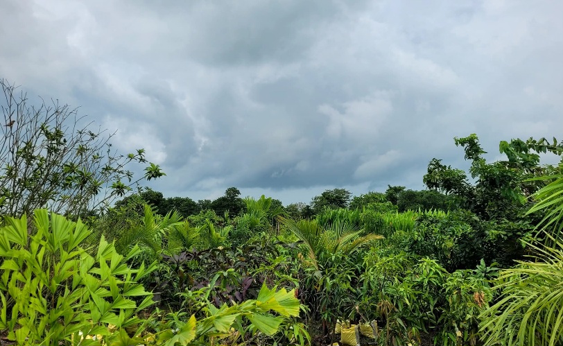 প্রকৃতির কোলেই রয়েছে প্রকৃত শান্তি!