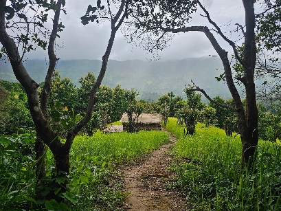 পাহাড়ের জুম ঘরের গল্প।