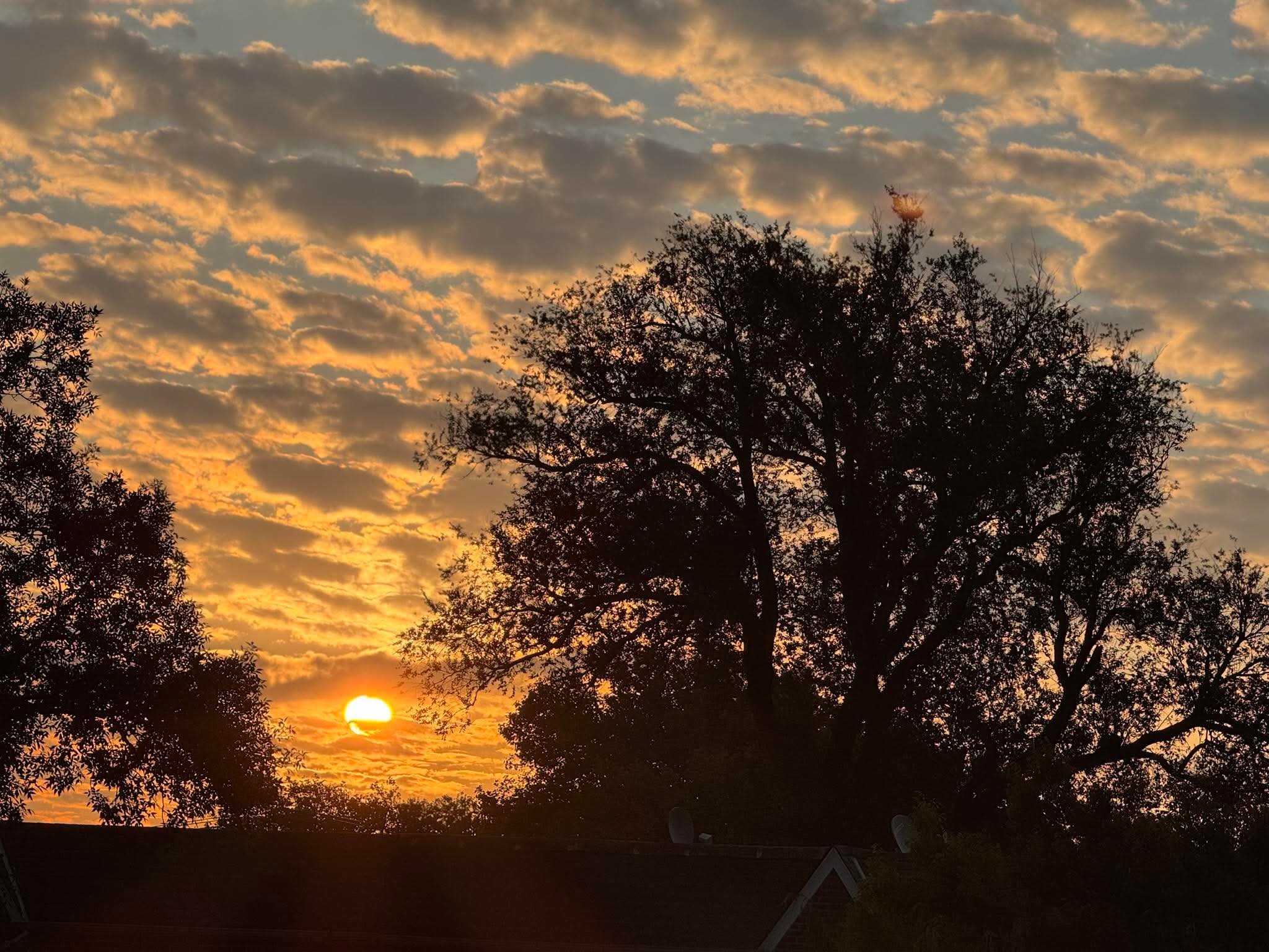 দুয়া মাধ্যমে তাকদীরকে উত্তম কিছু দ্বারা পরিবির্তন করে?