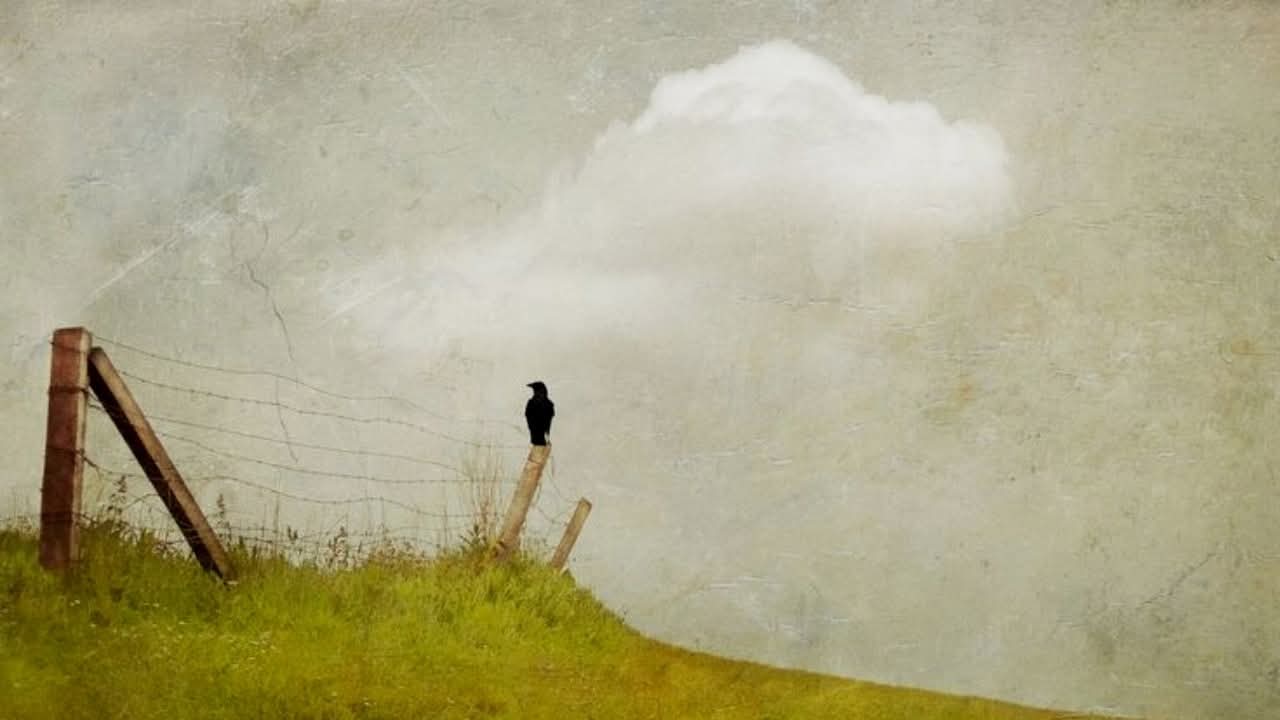 জীবনের গড়-মিল হিসাব!