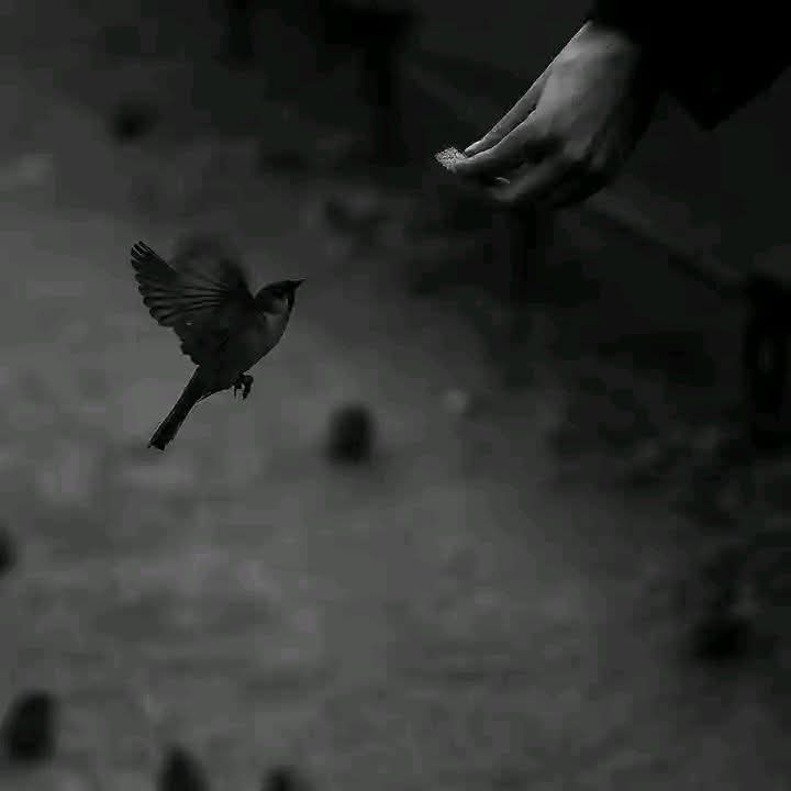 ইগনোর করার কি নিয়ম আছে!