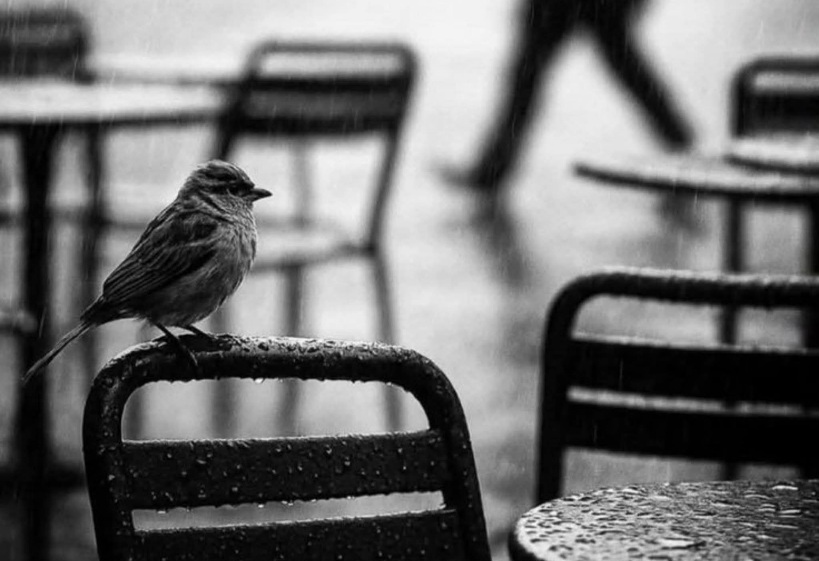 এই পৃথিবীতে Effort ছাড়া কি কোনো কিছু পাওয়া যায়?