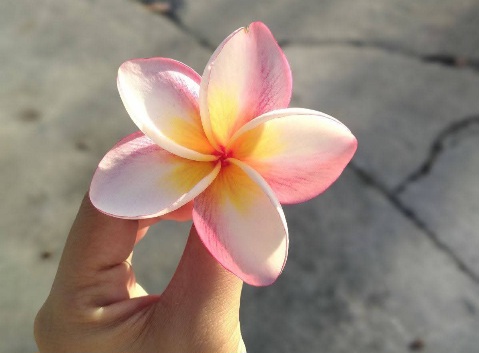 চাহিদা যত কম, সুখ তত বেশি!