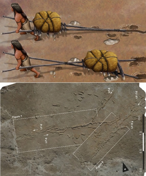 Archaeologists at White Sands National Park in New Mexico