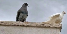 নিজেকে সম্মানিত করার উপায় কি?