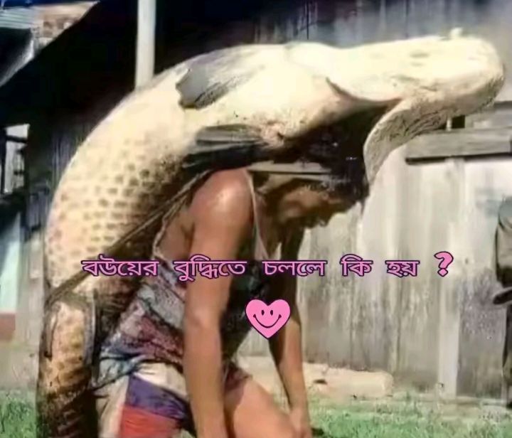 বউয়ের বুদ্ধিতে চললে কি হয়?